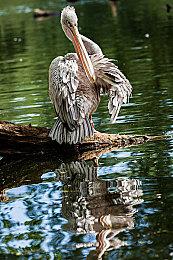 英国2024年3月销量榜Top 10：《绝地潜兵2》二连冠 《红警2》上榜